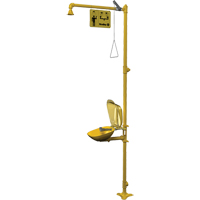 Combinaison de douche d'urgence & douche oculaire Halo Auto-Cam