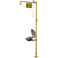Combinaison de douche d'urgence & douche oculaire Halo Auto-Cam