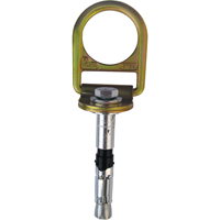 PRO Concrete D-ring Anchor with Bolt, Concrete/D-Ring, Permanent Use Auto-Cam