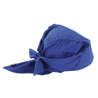 Foulards de refroidissement en triangle Chill-Its 6710, Bleu Auto-Cam