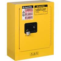 Mini-armoires de s&eacute;curit&eacute; Sure-Grip EX pour produits inflammables, 2 gal., 1 Porte(s), 17" La x 22" h x 8" p Auto-Cam