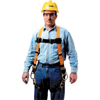 Harnais non extensible Miller Titan II, Certifi&eacute;e CSA, Classe AP, Moyen, Cap. 400 lb Auto-Cam