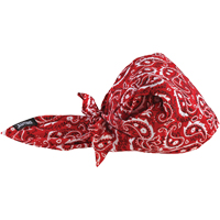 Bandeaux en triangle 6710CT de refroidissement en tissu de serviette Chill-Its, Rouge Auto-Cam
