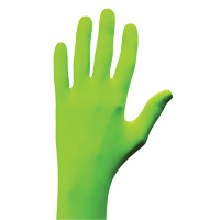 Gants N-Dex, Petit, Nitrile, 5 mils, Sans poudre, Vert Auto-Cam
