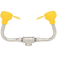 Eyewash 400 Series Dual Stream Head Assembly Auto-Cam