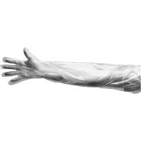 Disposable Gloves, Large, Polyethylene, 9-mil, Powdered, Clear SGF113 | Auto-Cam