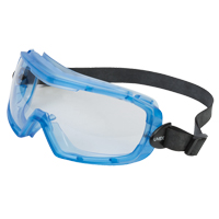Uvex&reg; Entity Safety Goggles, Clear Lens, Anti-Fog, Indirect Vent Auto-Cam