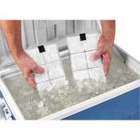 Sachets pour veste de refroidissement &agrave; changement de phase 6260 Chill-Its Auto-Cam