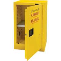 Flammable Storage Cabinet, 12 gal., 1 Door, 23" W x 35" H x 18" D Auto-Cam