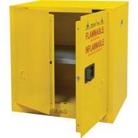Armoire pour produits inflammables, 22 gal., 2 Porte(s), 35" La x 35" h x 22" p Auto-Cam