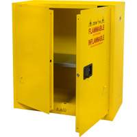 Armoire pour produits inflammables, 30 gal., 2 Porte(s), 43" La x 44" h x 18" p Auto-Cam