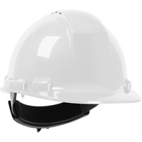 Dynamic Whistler Hardhat, Meets CSA Type 1, Ratchet Suspension, Vented Auto-Cam