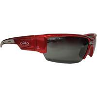 Lunettes de s&eacute;curit&eacute; Hartley, Lentille Gris, Polaris&eacute;, R&eacute;pond ou surpasse la norme CSA Z94.3 Auto-Cam
