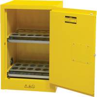 Flammable Aerosol Storage Cabinet, 12 gal., 1 Door, 23" W x 35" H x 18" D Auto-Cam