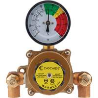 Mixing Valve for Exposed Assembly of Eye/Facewash, 9 gpm Auto-Cam