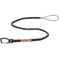Extended Reach Locking Tool Lanyard, Bungee, Carabiner/Loop Auto-Cam