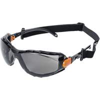 XPS502 Sealed Safety Glasses, Smoke Lens, Anti-Fog/Anti-Scratch Auto-Cam