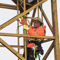 SA-54022-4 Shock Absorbing Lanyard, 4', Form Hook Center, Snap Hook Leg Ends, Polyester Auto-Cam