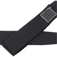 CAS4-4 Ancrage en boucle 4" avec anneau en D, Chaîne, Usage Temporaire Auto-Cam