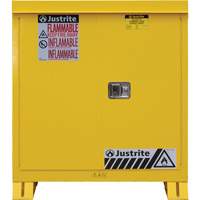 Outdoor Flammable Storage Cabinet, 30 gal., 2 Door, 43" W x 44" H x 18" D Auto-Cam