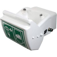Eye/Face Wash, Wall-Mount Installation, Plastic Bowl Auto-Cam