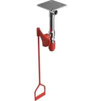 Drench Shower, Ceiling-Mount Auto-Cam