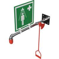 Drench Shower, Wall-Mount Auto-Cam