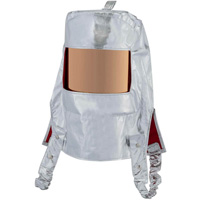 Heat Reflective Hood with Clear Gold Window Auto-Cam
