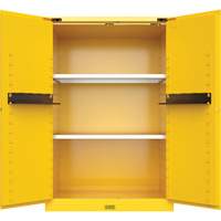 Utili-Guard+ Flammable Safety Cabinet, 45 gal., 2 Door, 43" W x 65" H x 22" D Auto-Cam