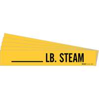 Marqueurs de tuyau LB. Steam, Autocollant, 2-1/4" h x 2-3/4" la, Noir sur jaune Auto-Cam