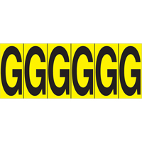 Repères adhésifs à lettres individuelles, G, 2-15/16" h, Noir sur jaune SR596 | Auto-Cam