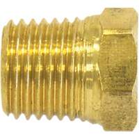 Bouchon de tuyau (t&ecirc;te hexagonale), 1/4" dia., Laiton Auto-Cam