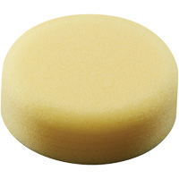 Polishing Pad, 3" Dia. Auto-Cam