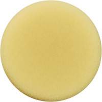 Polishing Pad, 3" Dia. Auto-Cam