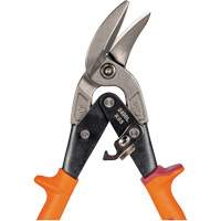 Compound Action Snips Auto-Cam