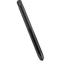Spiral Point Tap, High Speed Cobalt, M10x1 Thread, 2-15/16" L Auto-Cam