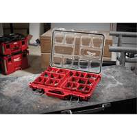Organisateur profil&eacute; Packout, 19-3/4" x 16-2/5" x 2-1/2", Noir/Rouge Auto-Cam