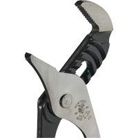 Groove Joint Pliers, 10" Auto-Cam