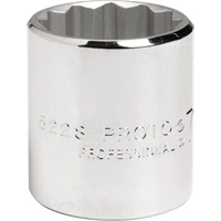 12 Point Socket Auto-Cam