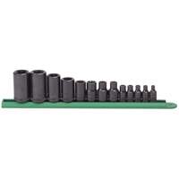 Jeu de douilles externes Torx, Prise 1/2"/1/4"/3/8" Auto-Cam