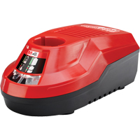 M4 Charger, 4 V, Lithium-Ion Auto-Cam