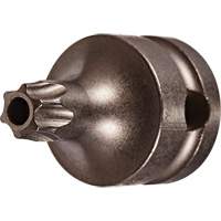 Embout &agrave; ins&eacute;rer, Torx inviolable, 25 x 1" lo, Prise 3/8" Auto-Cam