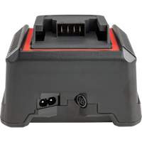 Chargeur de batterie 2,5 Ah et 5,0 Ah, 120 V, Lithium-ion UAK313 | Auto-Cam