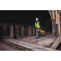 20V Max Cordless Tripod Light, LED, 3000 Lumens, Plastic Housing Auto-Cam