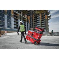 Packout Rolling Tool Chest, 15-4/5" x 34" x 28", Red Auto-Cam