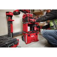 Packout Tool Cabinet, 15" x 15" x 20", Black/Red Auto-Cam