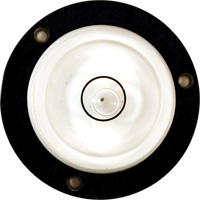 Bull's-Eye Level Auto-Cam