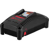 IQV&reg;40 Battery Charger, 40 V, Lithium-Ion Auto-Cam
