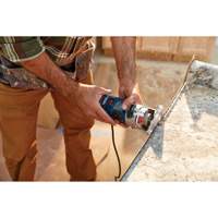 Colt Electronic Variable-Speed Palm Router Auto-Cam