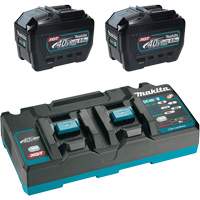 XGT Dual Port Rapid Charger Starter Kit with (2) 8 Ah Batteries, 40 V, Lithium-Ion Auto-Cam